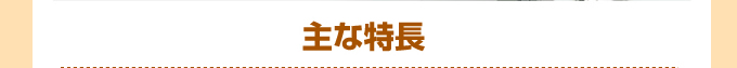 主な特徴